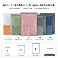 Sacs en polyéthylène givrés semi-transparents mats, pochettes d'emballage en plastique pour vêtements, cosmétiques, cadeaux, papeterie, vente au détail, vente en gros, personnalisables, OEM