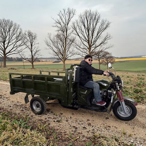 <span class=keywords><strong>Triciclo</strong></span> de Pasajeros de 3 Ruedas a Gasolina, Motor de 150cc, <span class=keywords><strong>Triciclo</strong></span> de Carga Agrícola, Nuevo - Product Image 5