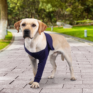 ชุดฟื้นสภาพบาด<span class=keywords><strong>แผล</strong></span>สำหรับสัตว์เลี้ยง,ชุดกู้คืนสุนัขแขนยาวทนต่อการขีดข่วนป้องกันการเลียแขนสุนัข - Product Image 1