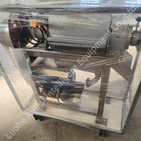 Economische en praktische sapcentrifuge met hoge capaciteit voor fruit en aloë vera | Aloë Vera verwerkingsmachines