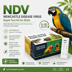 Kit <span class=keywords><strong>de</strong></span> test rapide du virus <span class=keywords><strong>de</strong></span> la maladie <span class=keywords><strong>de</strong></span> Newcastle (NDV) <span class=keywords><strong>de</strong></span> qualité médicale, détection antigénique haute sensibilité pour la santé aviaire - Product Image 1