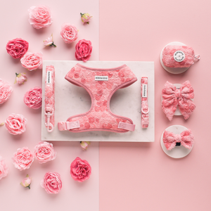 Ensemble Harnais et Collier Ajustable de Luxe Personnalisé pour Chien et Chat, Anti-Traction, en Polyester Écologique, par le Fabricant Cute Custom - Product Image 2