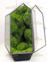 Terrarium en verre géométrique personnalisé avec mousse verte stabilisée, pot de terrarium, mousse préservée, conteneur pour plantes en verre