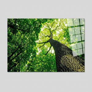 Green Tree Landscape Printed <b>Canvas</b> Artwork: Boho <b>Wall</b> Decor,TEMPERED GLASS ART - Product Image 2