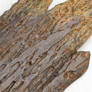 Hojas de plástico Cocoteros Palmera artificial gigante Palmera artificial Material de fibra de vidrio con corteza de palmera verdadera - Product Image 5