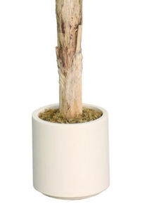 186cm de haut effet de feuille Unique <span class=keywords><strong>bananier</strong></span> artificiel intérieur/extérieur décoratif plante en pot vivante matière plastique pour anniversaire - Product Image 3