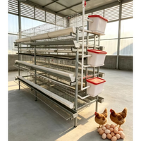 Système de cage à volailles en forme de H galvanisé haute résistance pour poules pondeuses, cailles et petits oiseaux dans les fermes commerciales