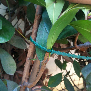 Câbles de <span class=keywords><strong>fixation</strong></span> pour plantes de jardin, attaches pour légumes de serre, boucle pour vigne, fournitures de jardin essentielles - Product Image 4