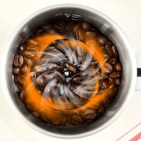 Nouveau moulin à café portable domestique 2023 en acier inoxydable, mini broyeur électrique automatique pour noix, épices sèches et grains de café