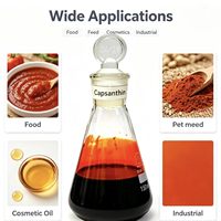 Extrait Liquide de Paprika Rouge à Base de Plantes avec Capsaïcine et Oléorésine pour Assaisonnement Instantané et Utilisation en Boissons Couleur Naturelle