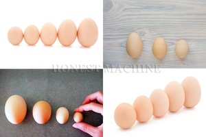 Trieuse d'œufs automatique / Machine de classement des œufs / Machine de tri des œufs de poule - Product Image 6