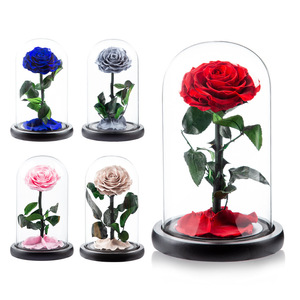 Fournisseur direct d'usine, roses éternelles faites à <span class=keywords><strong>la</strong></span> main, très demandées, pour <span class=keywords><strong>la</strong></span> Saint-Valentin, <span class=keywords><strong>la</strong></span> fête des mères, le Nouvel An, dans un dôme en verre - Product Image 2