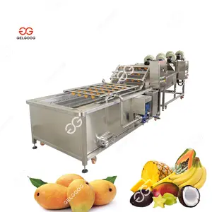 Commercial Fruit Processing Young Coconut Washing Machine Air Bubble Mango Washing Sorting Line