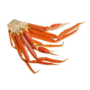 Wholesale Supplier Quality Frozen Red Snow Crab / Quality Snow Crab Cluster Supplier / Frozen Snow Crab Cluster Price