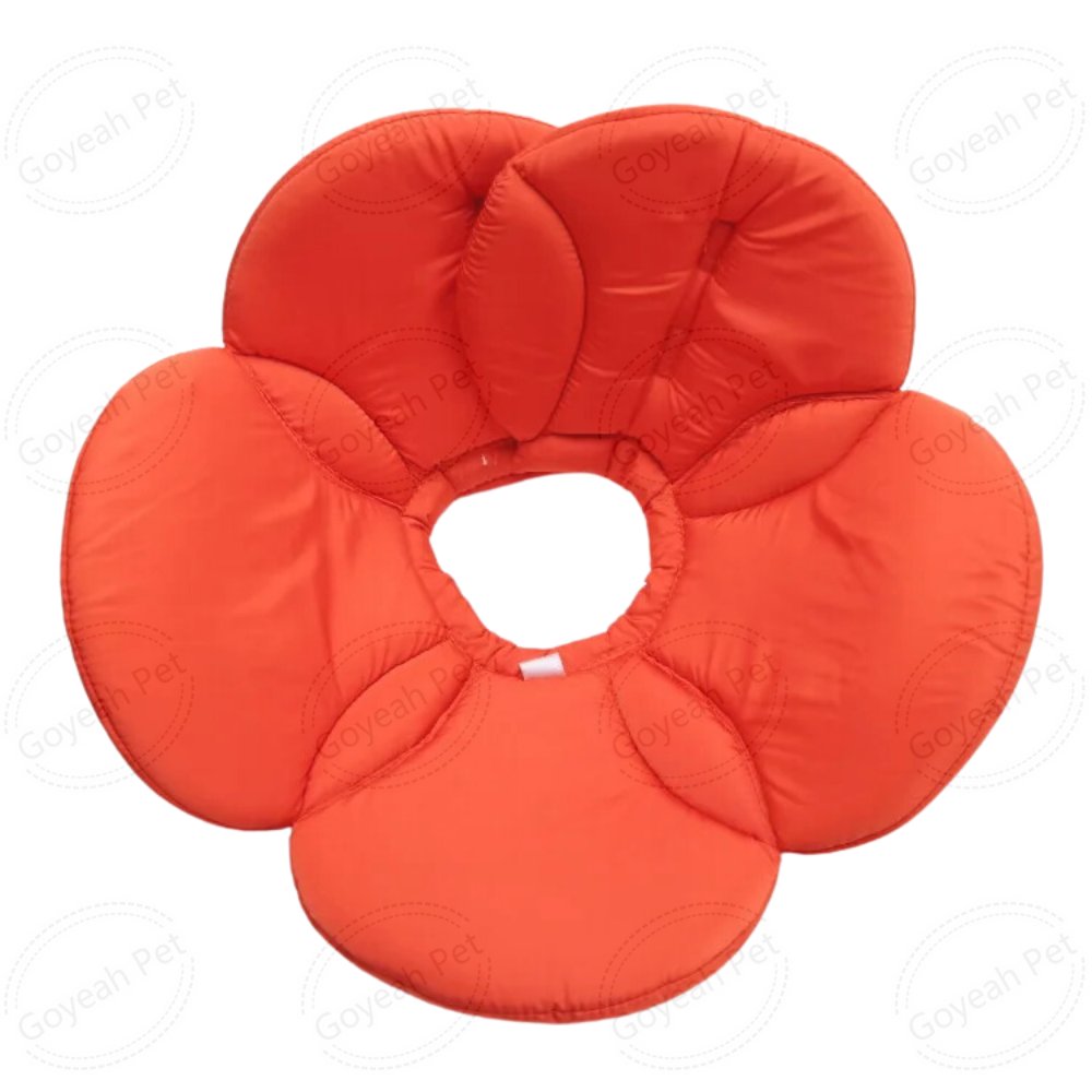 Fleur orange