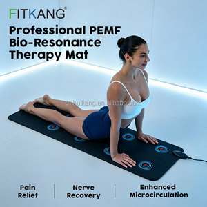 Tapete PEMF de Diseño Ergonómico Fitkang, Logotipo Personalizado, Onda Sinusoidal Pura, Almohadilla de Terapia de Bioresonancia, Fabricante ODM - Product Image 5