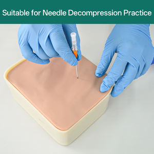 Simulateur de pneumothorax à tension en PVC pour l'entraînement à la décompression par aiguille en écoles de médecine - Product Image 3