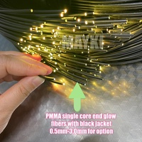 Cable de Fibra Óptica de Alta Calidad PMMA con Extremo Luminoso, Mononúcleo, Impermeable, con Cubierta Negra para Techo de Cielo Estrellado y Piscina
