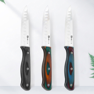 Cuchillo <span class=keywords><strong>para</strong></span> <span class=keywords><strong>cortar</strong></span> <span class=keywords><strong>carne</strong></span> con mango <span class=keywords><strong>de</strong></span> madera <span class=keywords><strong>de</strong></span> color con <span class=keywords><strong>cuchillos</strong></span> <span class=keywords><strong>para</strong></span> <span class=keywords><strong>carne</strong></span> <span class=keywords><strong>de</strong></span> hoja dentada - Product Image 1