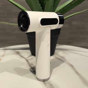 Secador de Pelo Eléctrico USB Portátil de Alta Velocidad con Diseño OEM 2024, Viento Potente, Secador Profesional para Viajes - Product Image 1