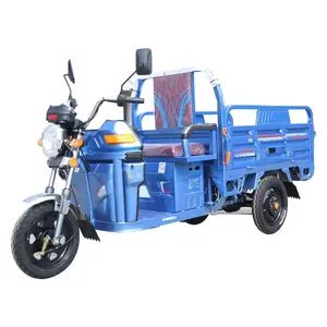 Triciclo دراجة بثلاث عجلات صناعة صينية تصميم جديد 501-800 وات دراجة كهربائية للبالغين 3 عجلات