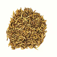 Insectes Séchés Aliment Premium pour Volailles Larves de Mouches Soldat Noires Séchées Aliment Sec de Haute Qualité pour Poulets Canards Tortues Geckos