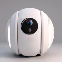 Caméra interactive HD pour animaux de compagnie avec jouet à billes roulantes Moniteur domestique intelligent avec spot laser et mouvements d'animaux de compagnie Sons d'animaux de compagnie