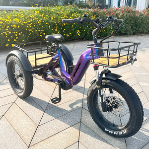 GEOBYKE Tricycle électrique à moteur central haute performance 250w, <span class=keywords><strong>3</strong></span> roues, vélo cargo électrique avec <span class=keywords><strong>Shimano</strong></span> <span class=keywords><strong>Nexus</strong></span> 7 <span class=keywords><strong>vitesses</strong></span> - Product Image 2