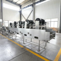 Nouvelle ligne de production de frites de pommes de terre multifonctionnelle automatique commerciale QD 100 kg/h en SUS304, capacité de 50-1000 kg/h