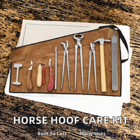 EPISURG Kit de Ferrage Réutilisable en Acier Inoxydable pour Soins des Sabots de Cheval – Outil Vétérinaire Multifonctionnel et Durable