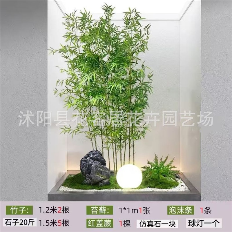 แพ็คเกจ H