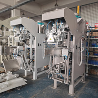 Máquina Semiautomática para Llenado de Bolsas con Válvula, 50 kg, para Cemento, Arena, Polvo Seco, Bolsas de Papel con Válvula, Máquina de Embolsado de Mortero