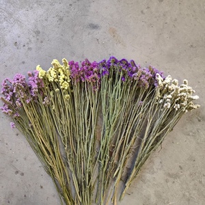 Bouquet <span class=keywords><strong>de</strong></span> fleurs séchées « Oublie-moi-pas » Fleurs séchées naturelles <span class=keywords><strong>Herbe</strong></span> <span class=keywords><strong>de</strong></span> la <span class=keywords><strong>pampa</strong></span> Fleurs réelles Décoration <span class=keywords><strong>de</strong></span> la maison Accessoires <span class=keywords><strong>de</strong></span> photographie Vente en gros - Product Image 4
