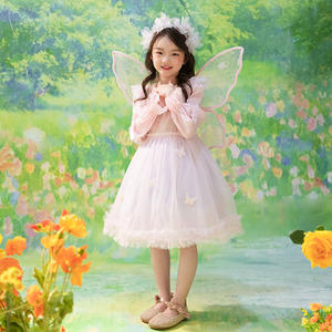 Disfraz de Hada Mariposa Juvenil al por Mayor, con Detalles de Volantes, Apto para los Mercados de la UE y EE. UU., Entrega Rápida - Product Image 6