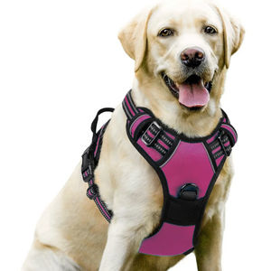 Vendita calda imbracatura per animali da compagnia di dimensioni personalizzate in Nylon per cani Set di lusso alla moda gilet traspirante per cani per prevenire la corsa - Product Image 5