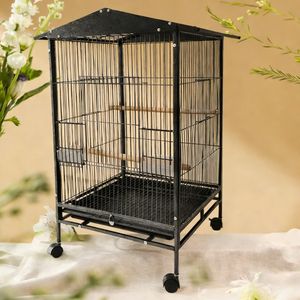 Meilleur Prix Nouvelle Arrivée <span class=keywords><strong>Cage</strong></span> de Transport pour Perroquet en Fer Fin, Suspendable, Direct Usine - Product Image 4