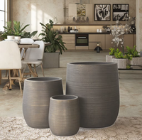 Pot de fleur d'intérieur/extérieur de kit de plante verte de vente chaude avec l'option d'affichage de bureau de décoration de jardin de pergola pour la maison