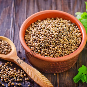 Bulk Supply and Wholesale Price Low MOQ High Demand Spices Dried Coriander <b>Seeds</b> Available Custom <b>Pack</b> - Product Image 6