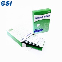 Patch de menthol pour soulager la douleur musculaire du dos et des épaules, refroidissement instantané, qualité GMP CSI