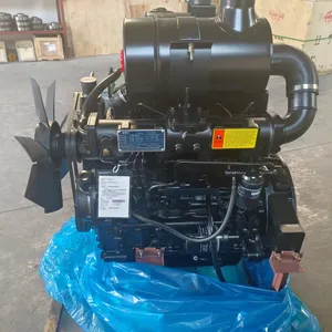 Dongfanghong Engine 2T Loader Special Power YT4B2-24 Construction Machinery Parts