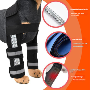 Protector de Patas Delanteras para Perros de Tercera Generación <span class=keywords><strong>con</strong></span> Franja Reflectante, Neopreno y Soporte Metálico para Rodilla y Codo, para Artritis, Fracturas y LCA - Product Image 5