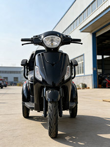 Triciclo Eléctrico de 3 Ruedas para Adultos, 50 km/h, Scooter de Movilidad para Personas Mayores, en Oferta - Product Image 1