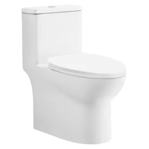 Chinese Fabriek Hot Verkoop Stijl Moderne Comfort Hoogte Keramische Eendelige Toiletten Sanitaire Waren Badkamer Toilet