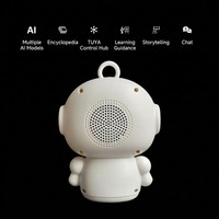 AI YUN DeepSeek GTP: Robot AI Intelligente per Dialogo, Compagno di Chat, Altoparlante WIFI, Macchina per l'Apprendimento, Materiale Plastico, GPT Spark