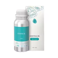 Parfums de marque en gros de haute qualité, huiles de parfum naturelles à base d'extraits de plantes, concentrés de 100 ml, senteurs florales et herbales