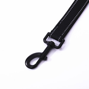 Laisse pour chien en nylon réfléchissant 2,5x150cm, laisse robuste pour animaux de compagnie pour la promenade - Product Image 1