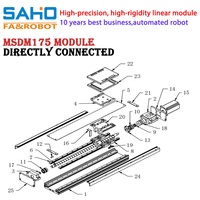 Módulo Lineal de Precisión MSDM175 con Motor de Tornillo de Bolas, Carga de 50-80kg, Eje de Movimiento de 1m/s, Estructura de Aluminio a Prueba de Polvo para