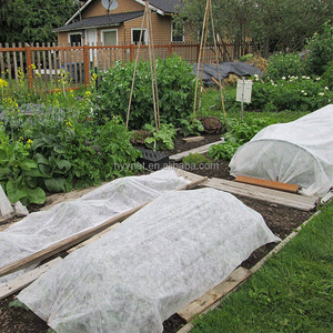 Tissu anti-mauvaises herbes non tissé - Couverture de sol perméable pour supprimer les mauvaises herbes dans le jardin et la ferme - Product Image 5