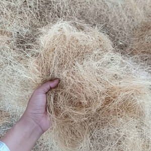 Fibre de noix de coco naturelle de haute qualité pour matelas brosses cordes tapis de culture paillis fibre de coco vente en gros de l'Inde - Product Image 1