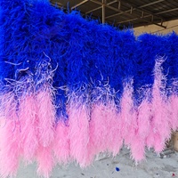 Boa en plumes d'autruche naturelles, mélange moelleux 1-30 plis, teintes sur mesure, pour mariage, fête, châle, jupe, couture, décoration et artisanat